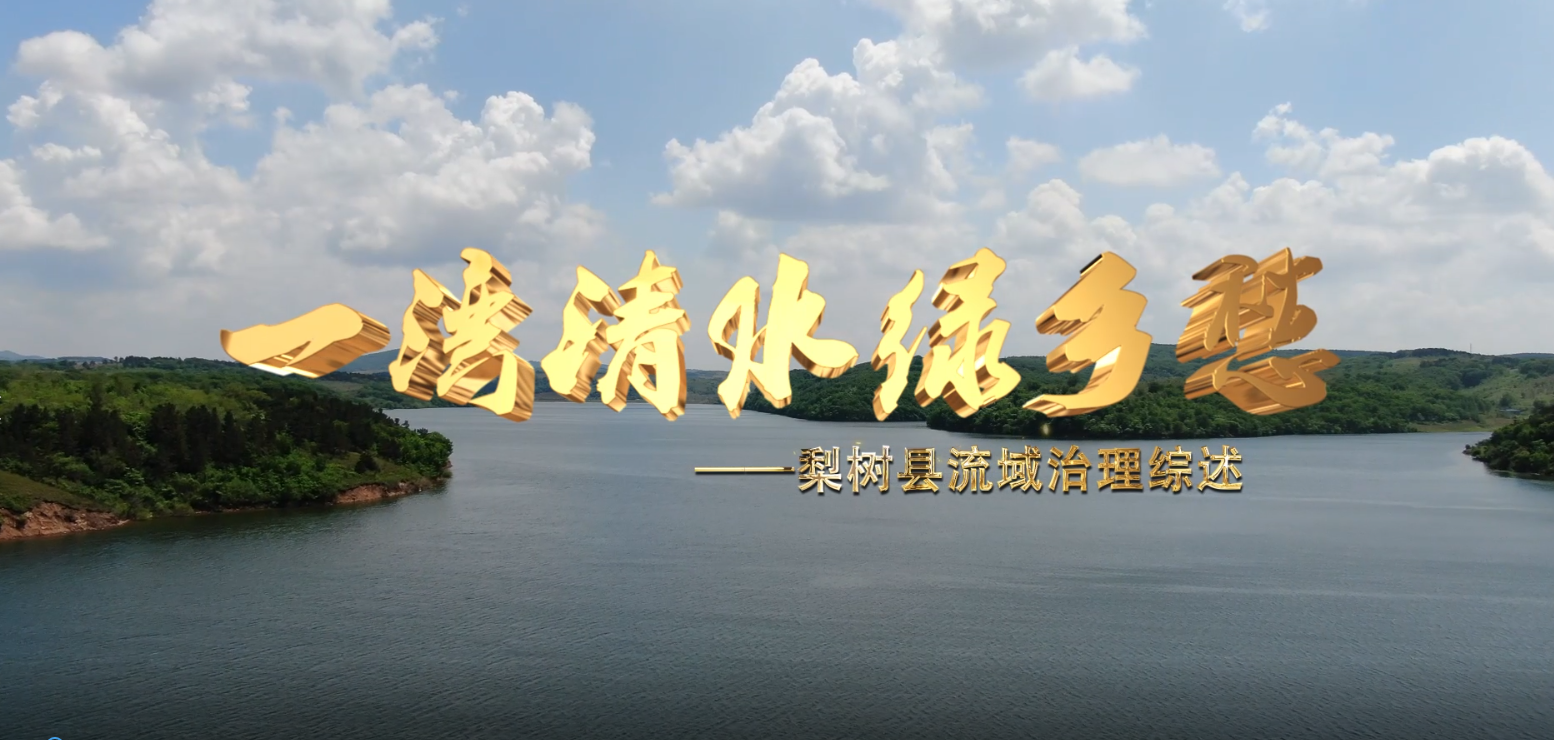 世界杯买球盘口