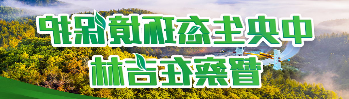 世界杯买球盘口