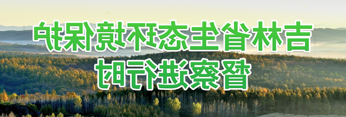 世界杯买球盘口